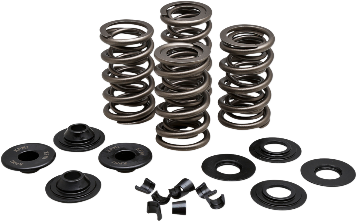 KIBBLEWHITE Spring Kit - .650" - Evolution/Twin Cam 20-21650