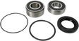 PIVOT WORKS Wheel Bearing Kit - Rear PWRWS-H12-000