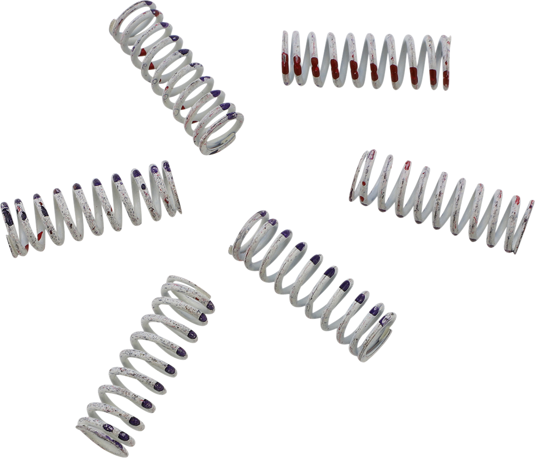 KG POWERSPORTS Clutch Spring Set KGS-060