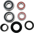 PIVOT WORKS Wheel Bearing Kit - Rear PWRWS-Y12-000