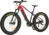 IGO ELECTRIC BIKES Outland Torngat RS E-Bike - Fatbike 100-322-300