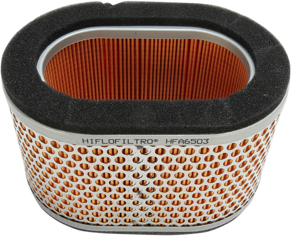 HIFLOFILTRO Air Filter - Triumph 955 '02-'06 HFA6503