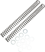 RACE TECH Fork Springs - 0.42 kg/mm FRSP 435142