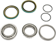 PIVOT WORKS Wheel Bearing - Kit - Rear - Polaris PWRWK-P01-042