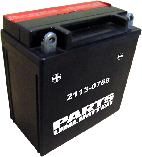 Parts Unlimited Agm Battery - Ytx9abs Ctx9a-Bs