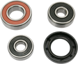 PIVOT WORKS Wheel Bearing Kit - Rear PWRWK-K15-001