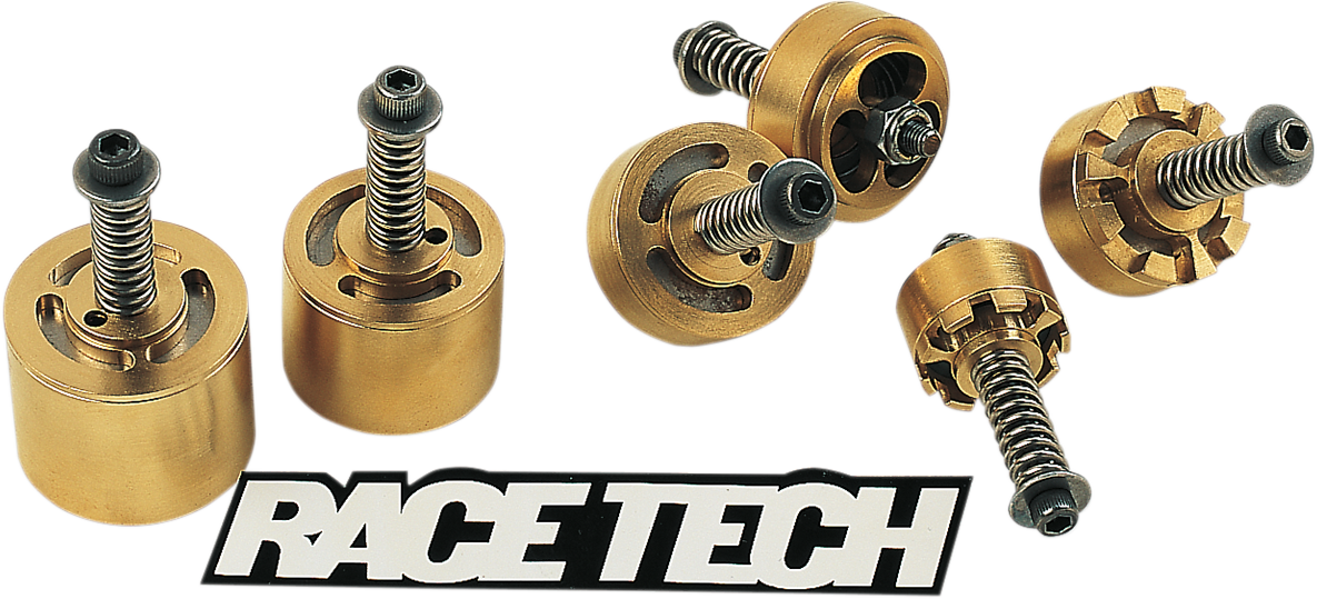 RACE TECH Gold Valve Cartridge Fork Emulators for Street/Track/Touring FEGV S4105