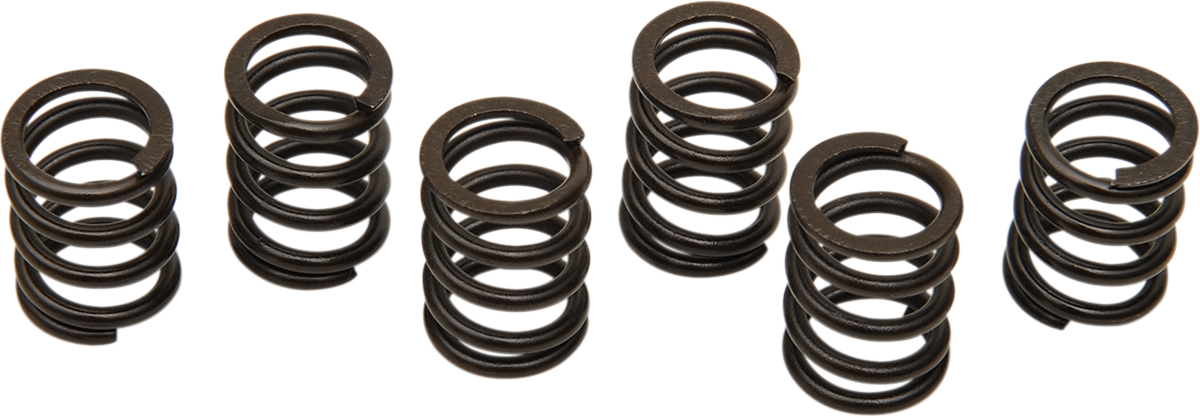 BARNETT Clutch Spring Set 501-38-06012