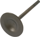 VESRAH Intake Valve GG-1048-IN