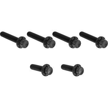 ARLEN NESS Bolt Kit - Cable Clutch - Titanium - 12-Point - M8/Twin Cam - Black 300-704