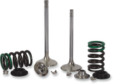 XCELDYNE Intake Valve Kit X2VIK43000