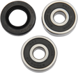 PIVOT WORKS Wheel Bearing Kit - Rear PWRWK-Y29-001