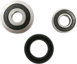 PIVOT WORKS Wheel Bearing Kit - Rear PWRWK-Y40-230