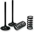 PROX Valve and Spring Kit 28.SIS2444-2