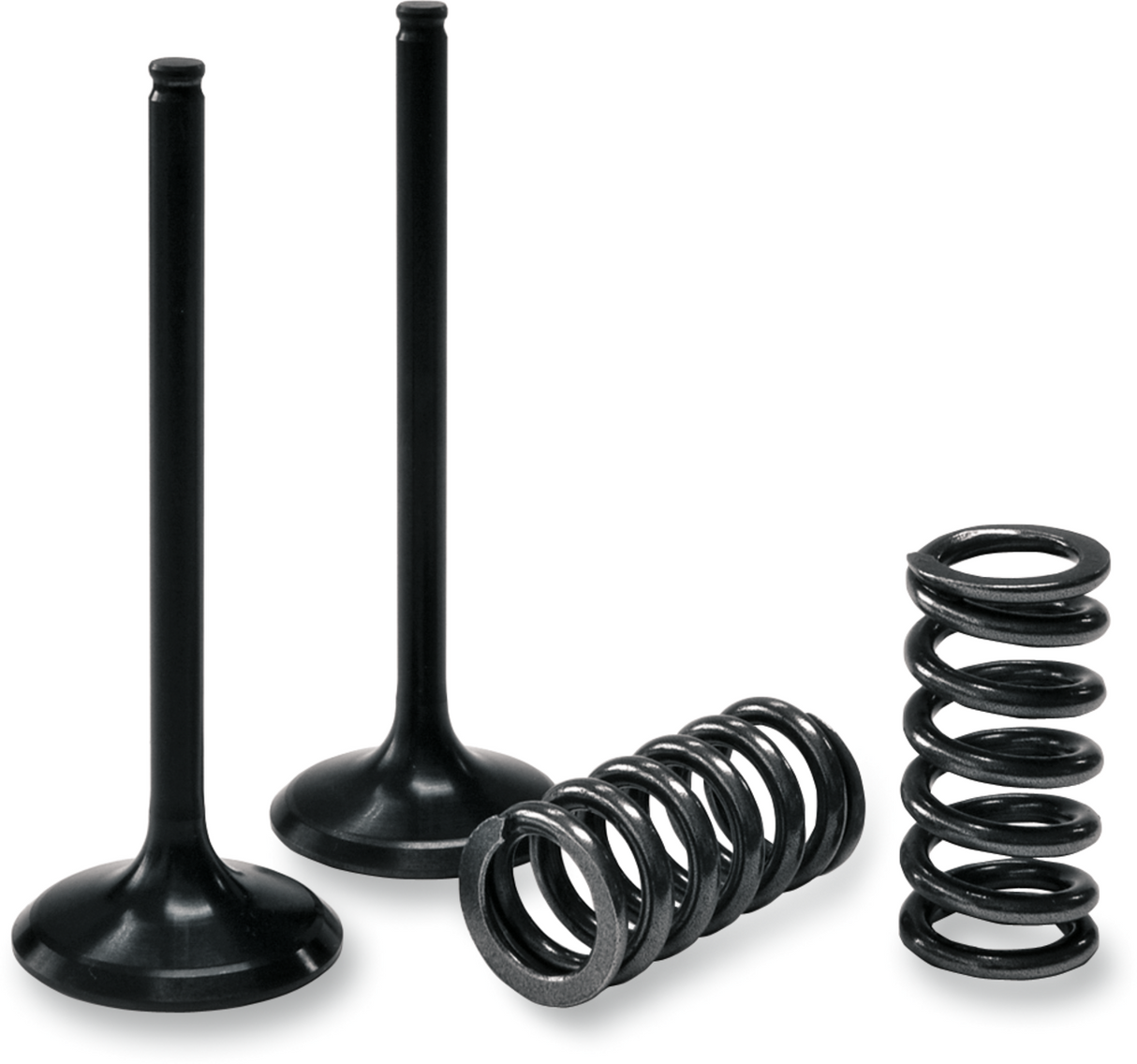 PROX Valve and Spring Kit 28.SIS6327-2