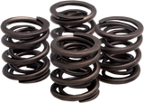 KIBBLEWHITE Valve Springs - XL 20-2215