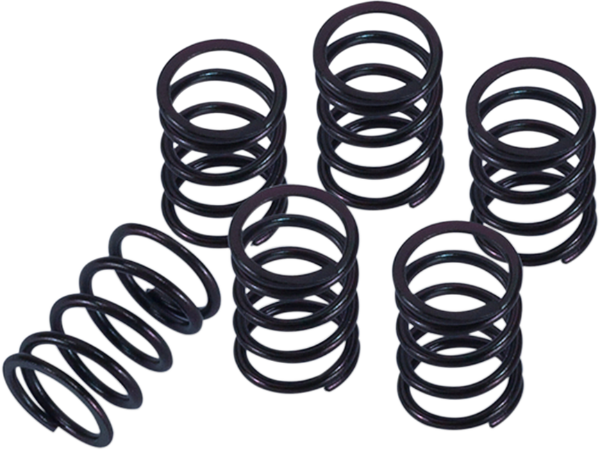 BARNETT Clutch Spring Kit 501-31-06146