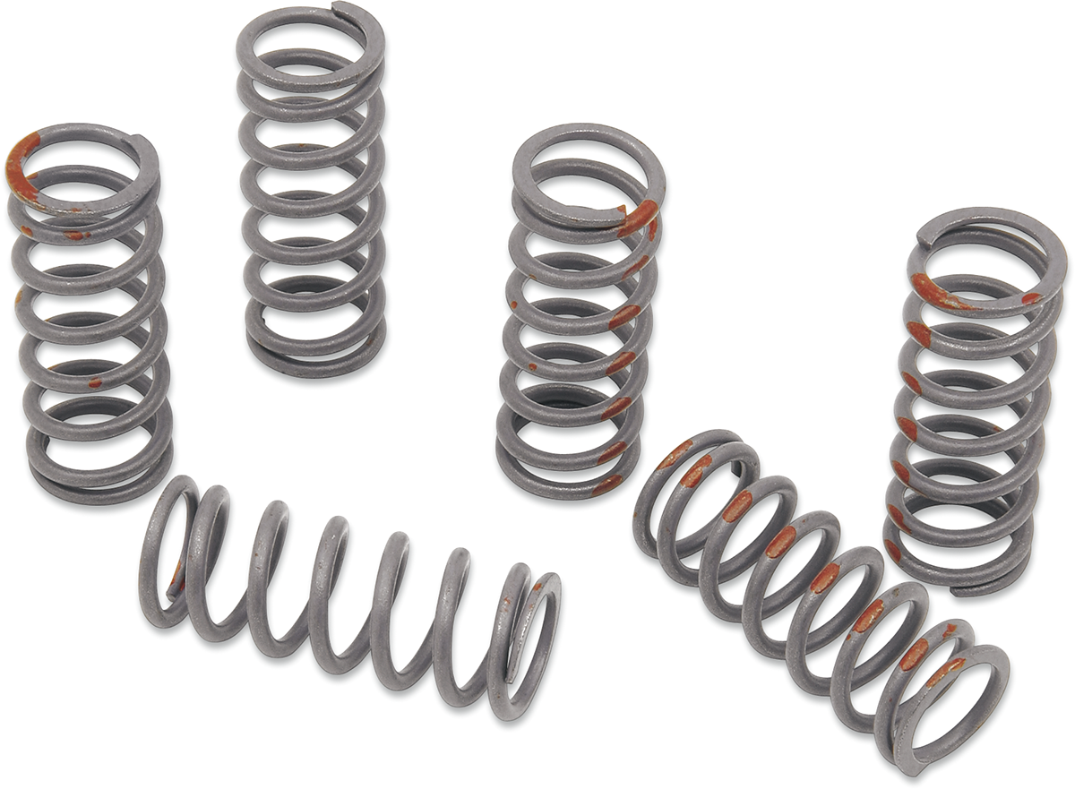 KG POWERSPORTS Clutch Spring Set KGS-808