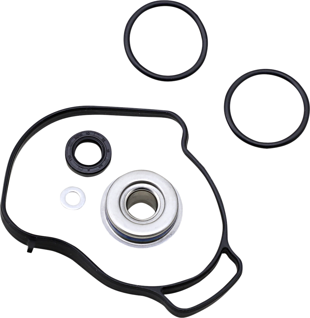 VERTEX Water Pump Repair - Kit 721322