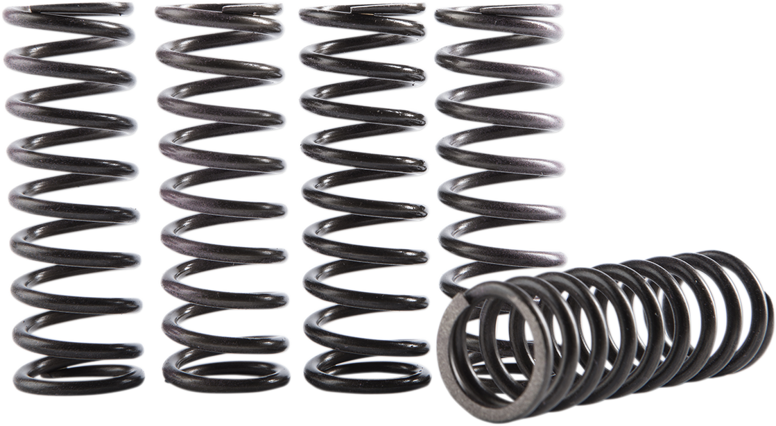 HINSON RACING Clutch Spring Kit - CRF250R/RX CS189-5-0613