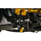 THRASHIN SUPPLY CO. Skid Plate - Carbon Fiber/Gloss - With Gold Brackets - FLHX/FLTRX TSC-3034-5