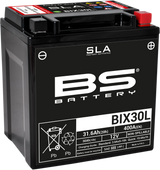 BS BATTERY Battery - BIX30L (YIX) 300631