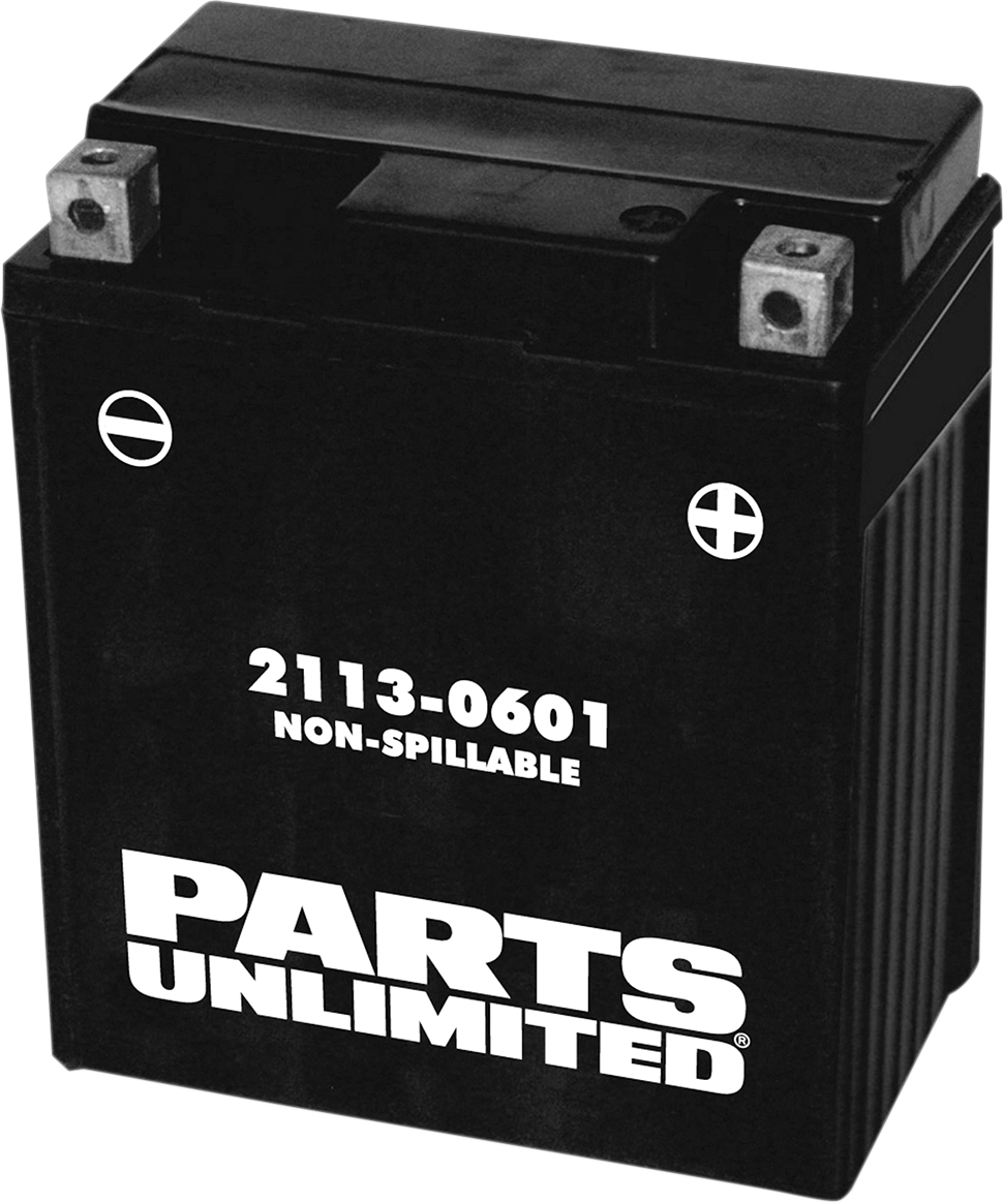 Parts Unlimited AGM Battery Factory Activated  - YTZ8V  2113-0601