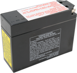 Parts Unlimited Agm Battery - Yt4b-Bs Ct4b-5