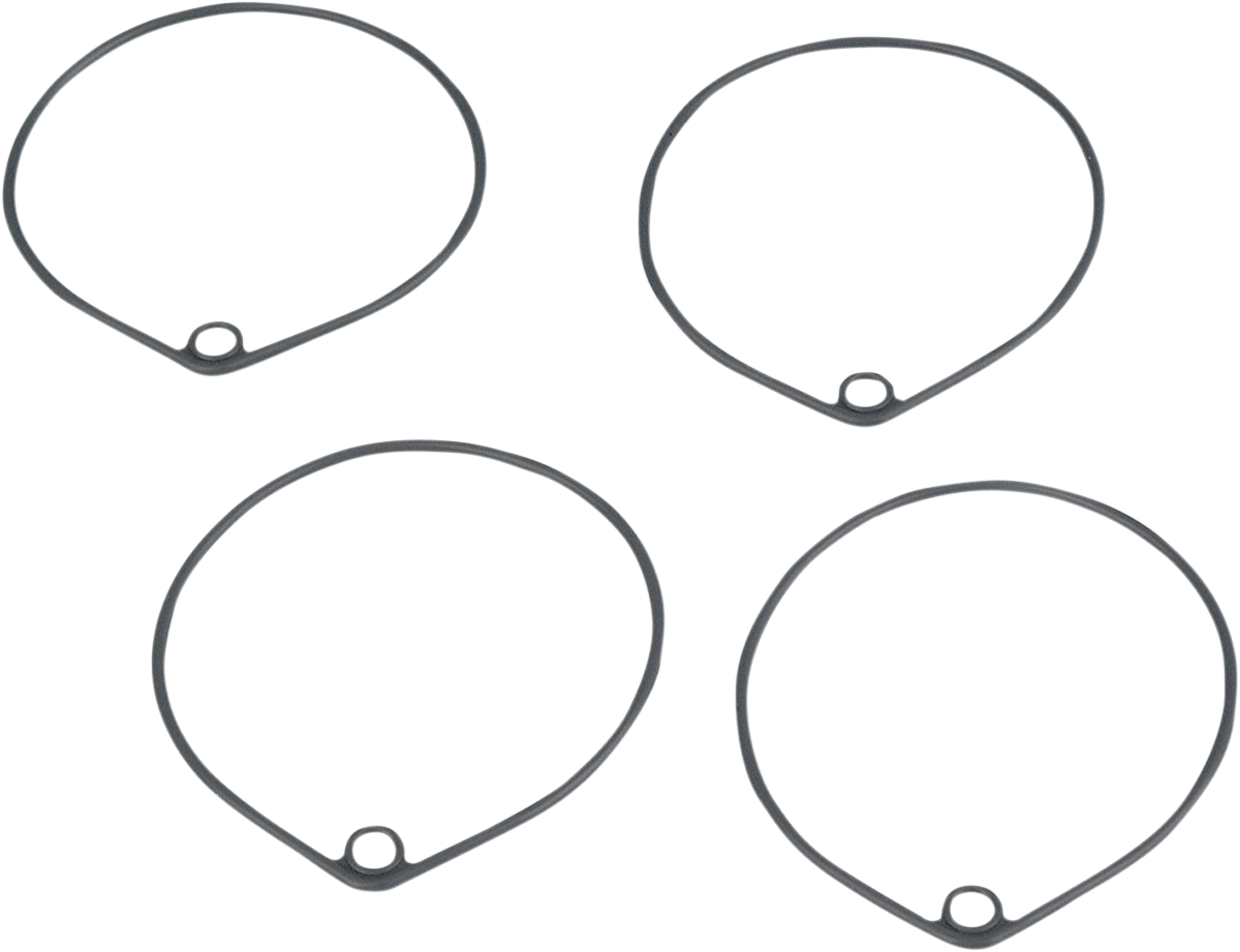 JAMES GASKET Float Bowl O-Ring - XL,F JGI-27889-78