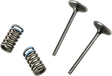 PROX Valve and Spring Kit 28.SIS1337-2