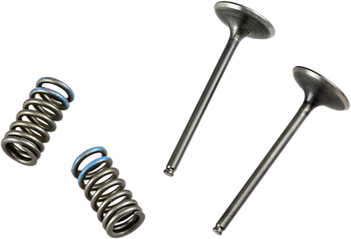 PROX Valve and Spring Kit 28.SIS1337-2