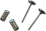 PROX Valve and Spring Kit 28.SIS1337-2