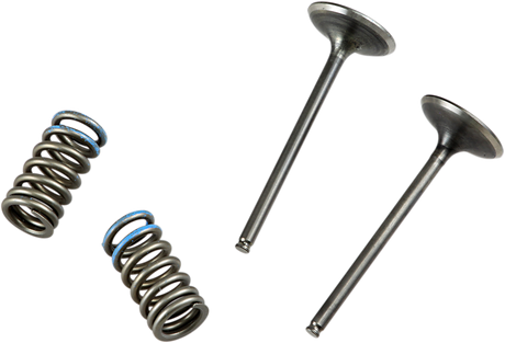 PROX Valve and Spring Kit 28.SIS1337-2