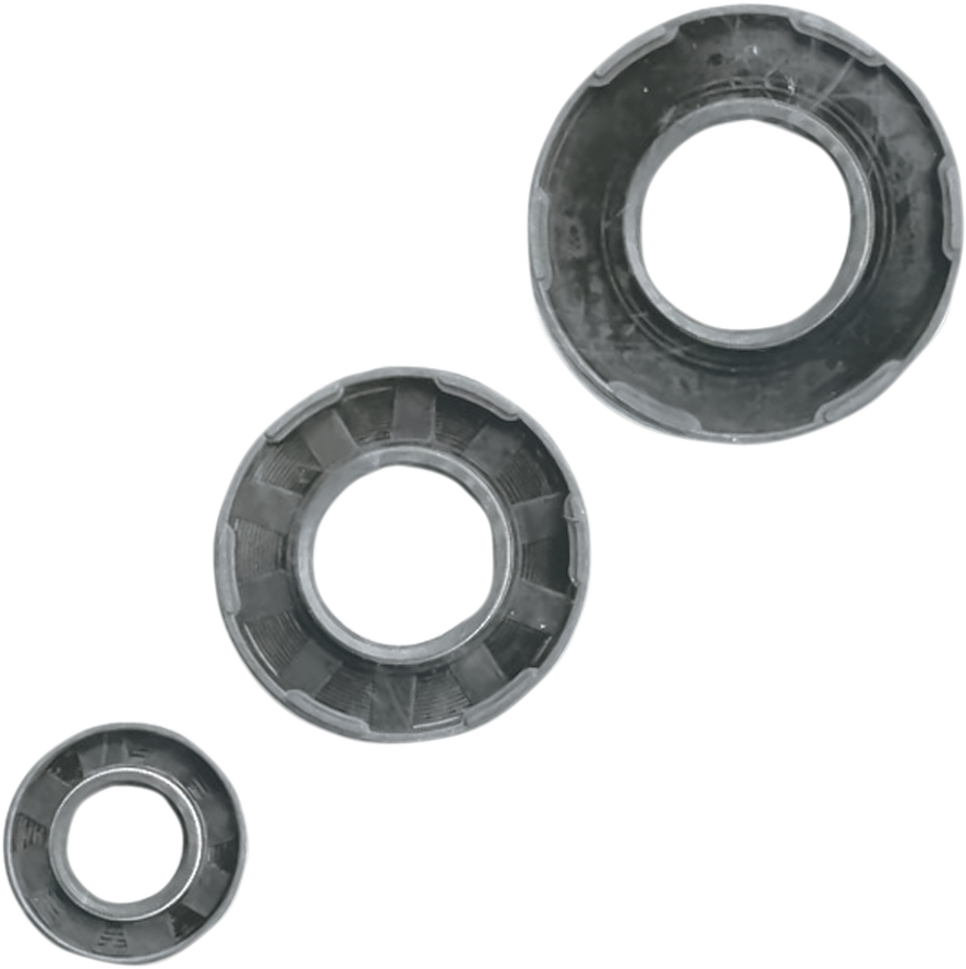 VERTEX Crankshaft Oil Seal Set 622201