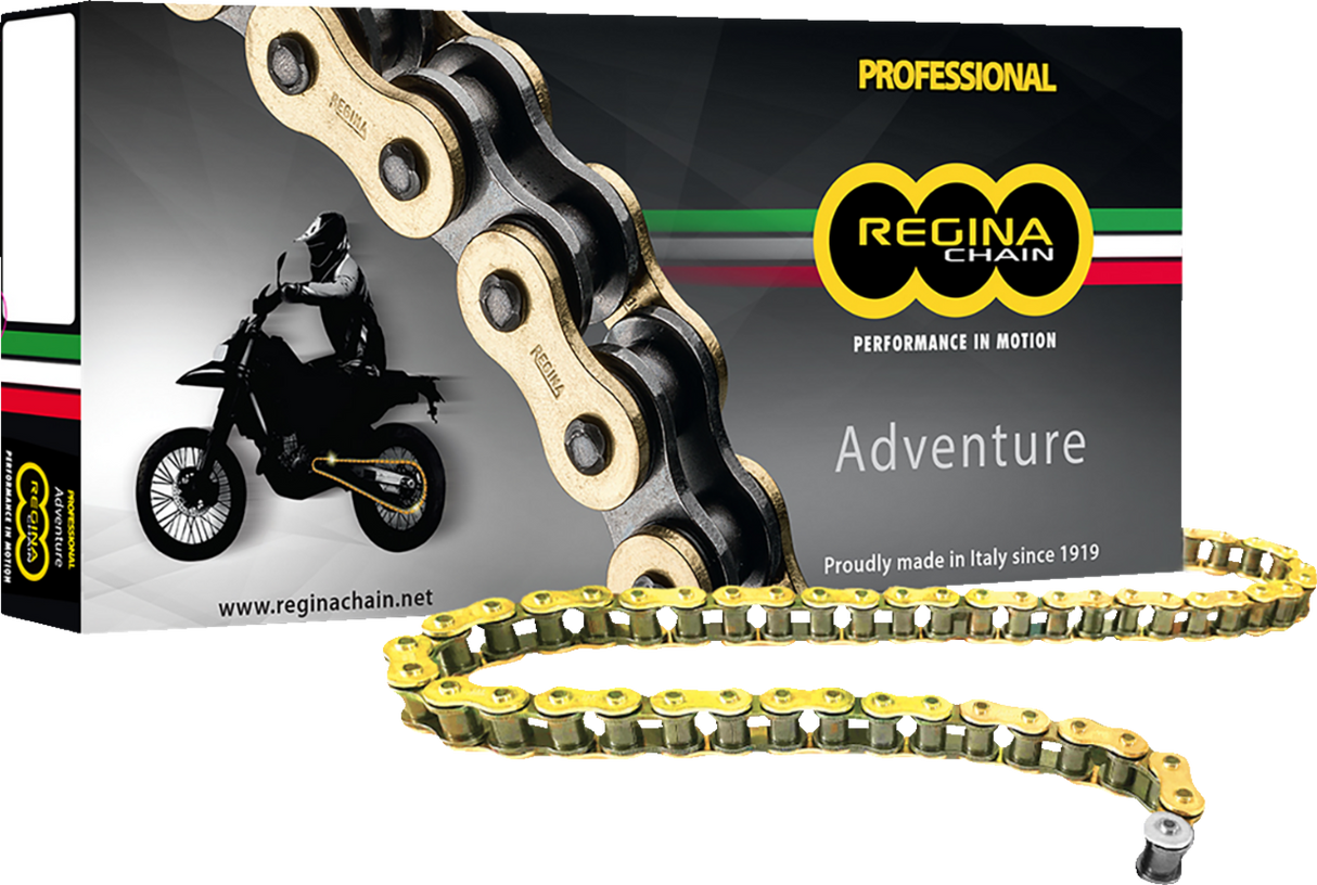 REGINA 525 ZRE - Z-Ring Chain - 120 Links 137ZRE/016