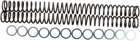 RACE TECH Fork Springs - 0.52 kg/mm FRSP 435152