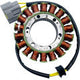 RICK'S MOTORSPORT ELECTRIC OE Style Stator - Ducati 21-041