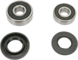 PIVOT WORKS Wheel Bearing Kit - Rear PWRWK-K08-008