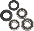 PIVOT WORKS Wheel Bearing Kit - Rear PWRWK-S21-020