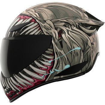 ICON Domain™ Helmet - Grand Maw - Gray - 3XL  0101-17300