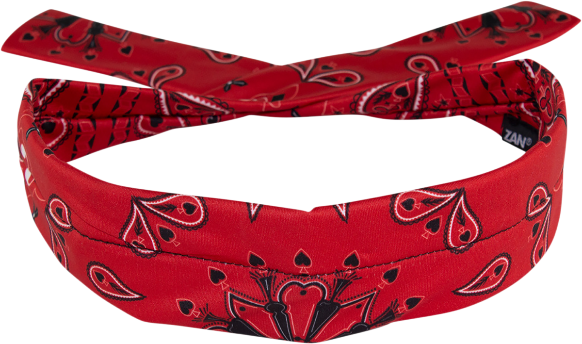 ZAN HEADGEAR Polyester Cooldanna - Red Paisley DP106