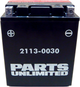 Parts Unlimited Agm Battery - Ytx14ahbs .798l Ctx14ah-Bs