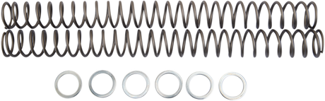 RACE TECH Fork Springs - 0.40 kg/mm FRSP 444740