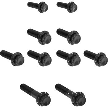 ARLEN NESS Bolt Kit - Transmission Side Cover/Trap Door - 12-Point - Titanium - Black 300-984