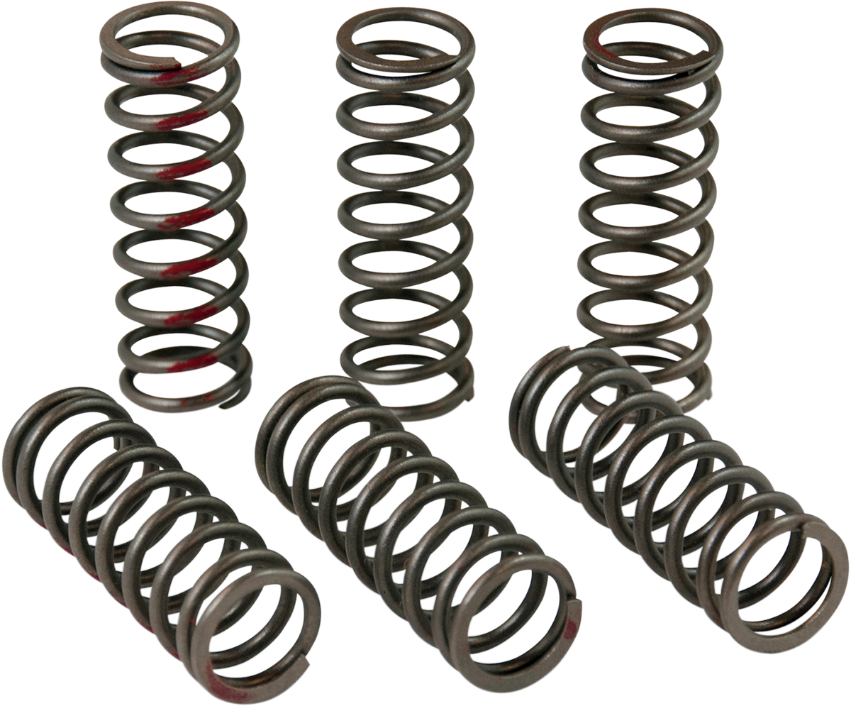 PRO CIRCUIT Clutch Springs CSH13450-CS