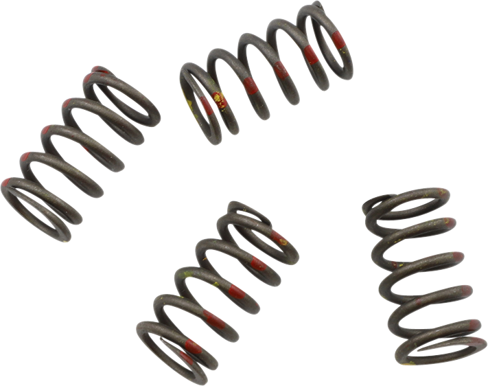 KG POWERSPORTS Clutch Spring Set KGS-012