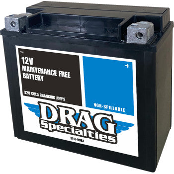 DRAG SPECIALTIES Battery - CTZ20HL 2113-0983