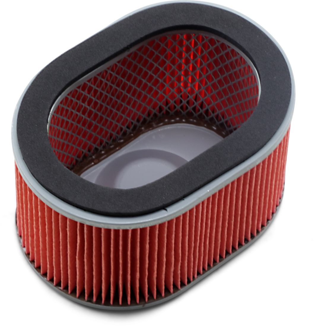 HIFLOFILTRO Air Filter - Honda HFA1906