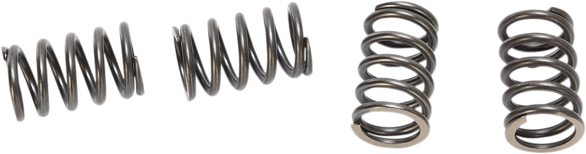 BBR MOTORSPORTS HD Clutch Springs 410-HXR-1005