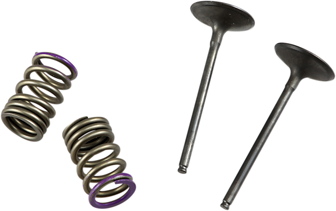 PROX Valve and Spring Kit 28.SIS4336-2